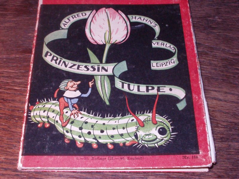tulpe