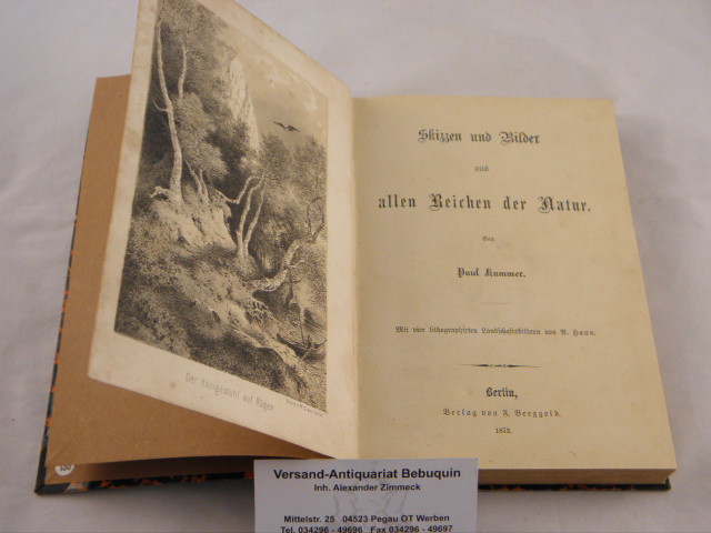 40848AB.jpg