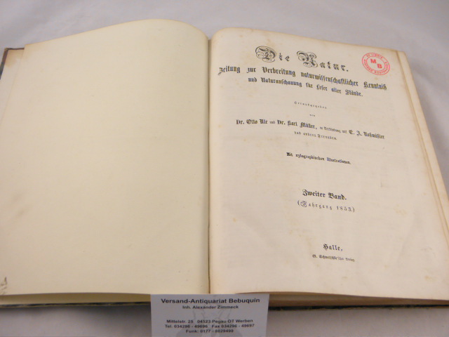 40861AB.jpg