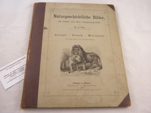 40881AB.jpg
