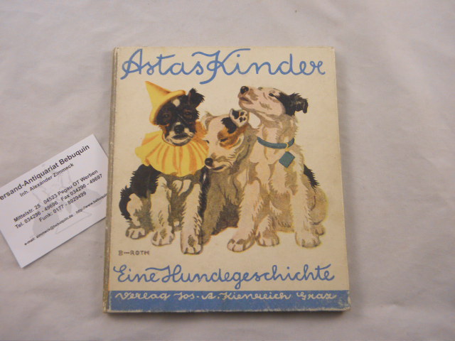 41088AB.jpg