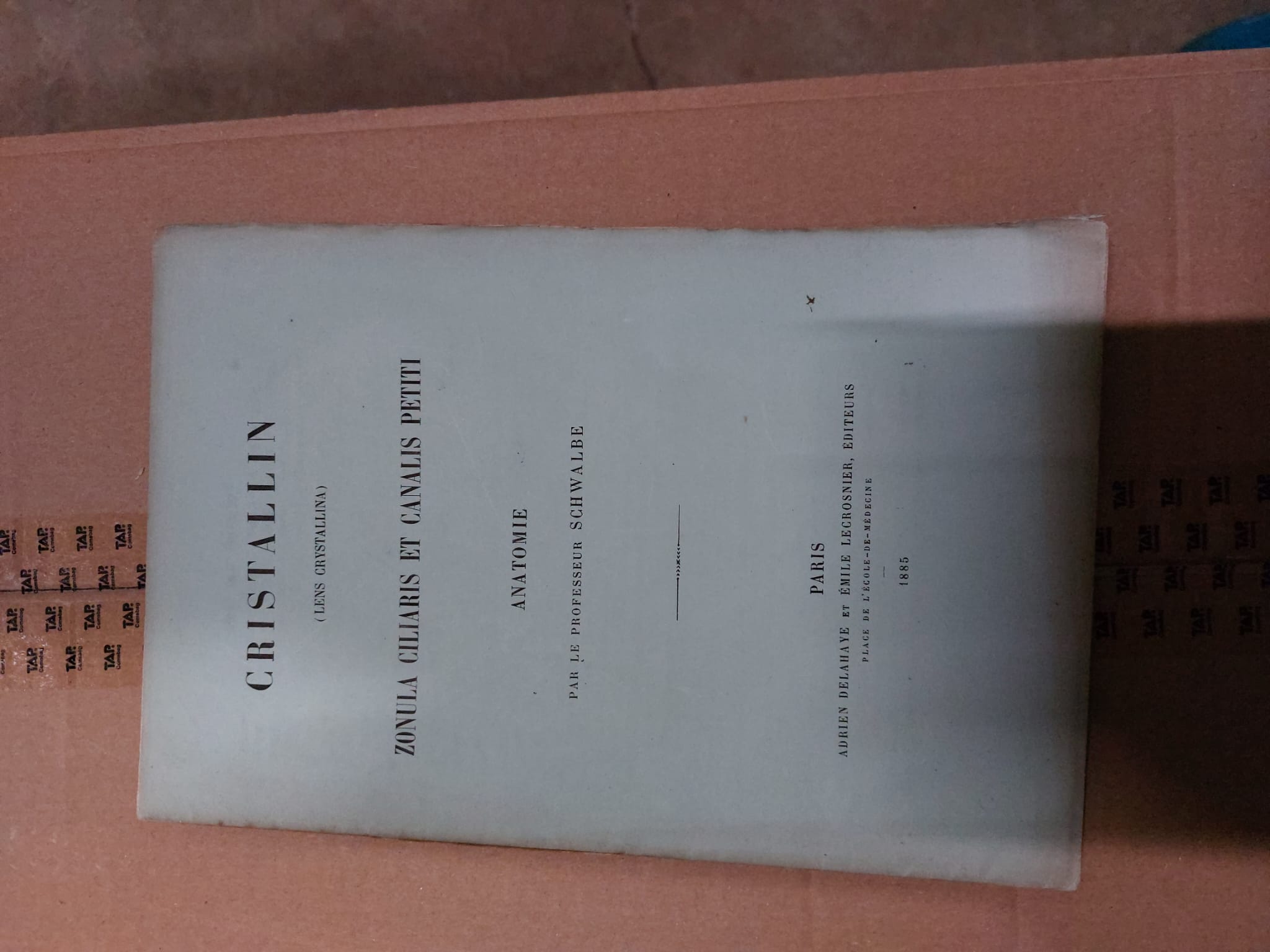 41397AB.jpg