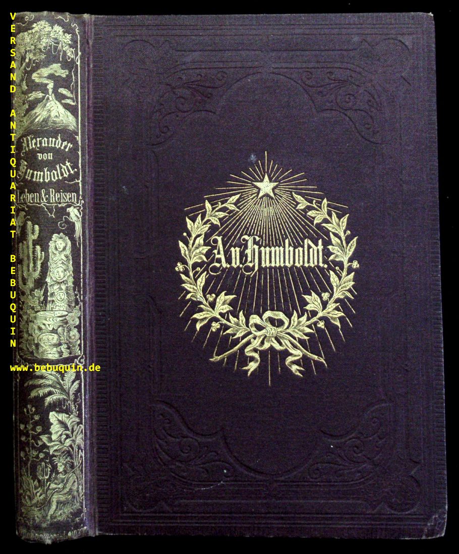 42555AB.jpg
