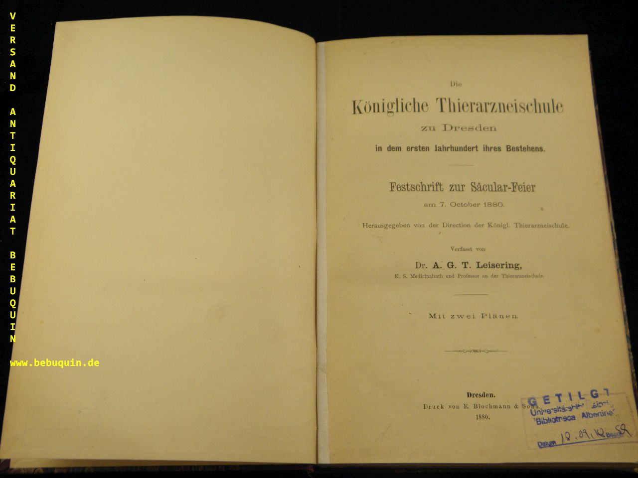 44983AA.jpg