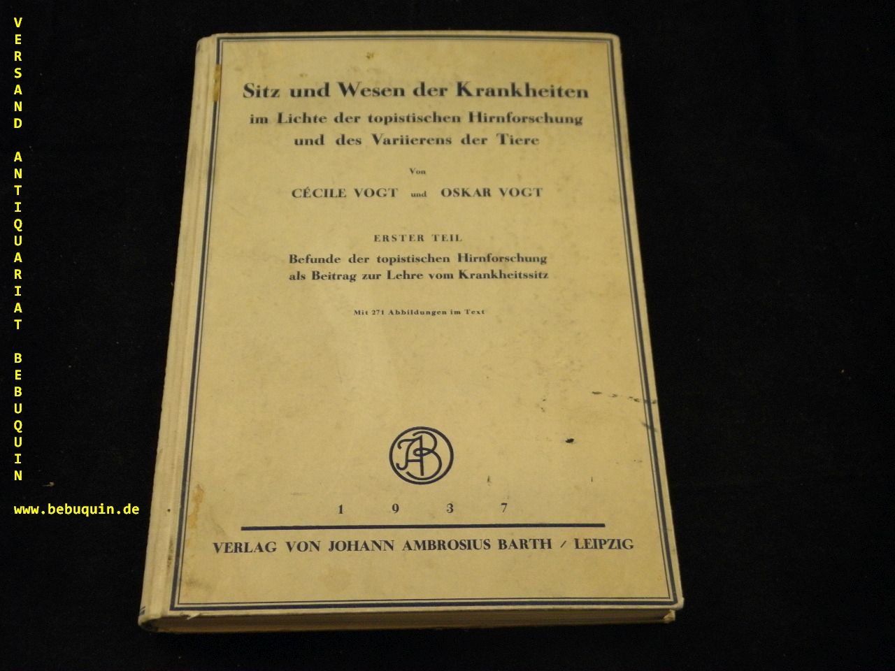44989AA.jpg