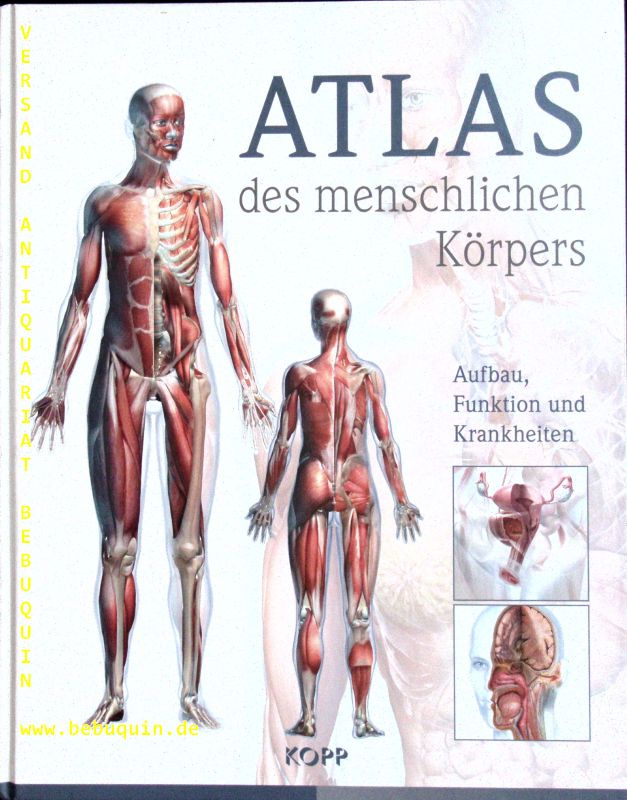 50366AB.jpg