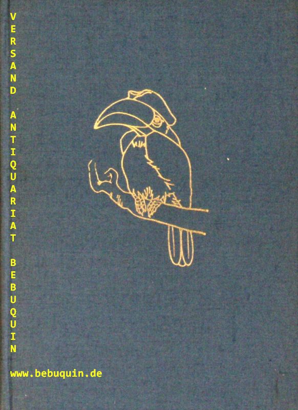 50488AB.jpg