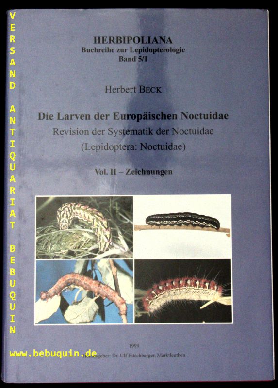 50573AB.jpg