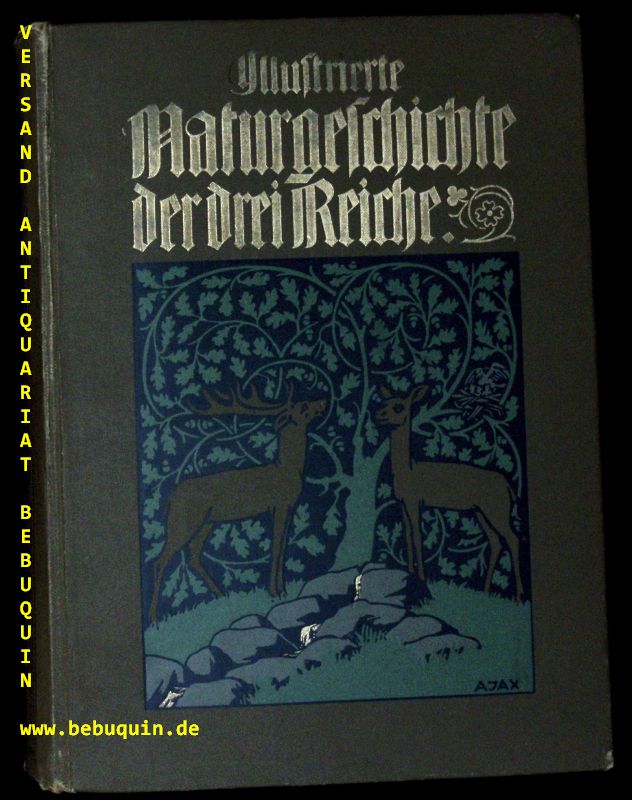 50578AB.jpg