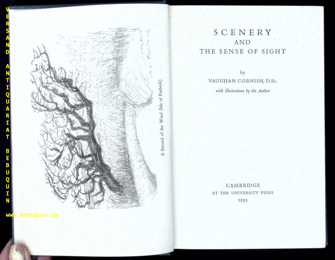 50943AB.jpg