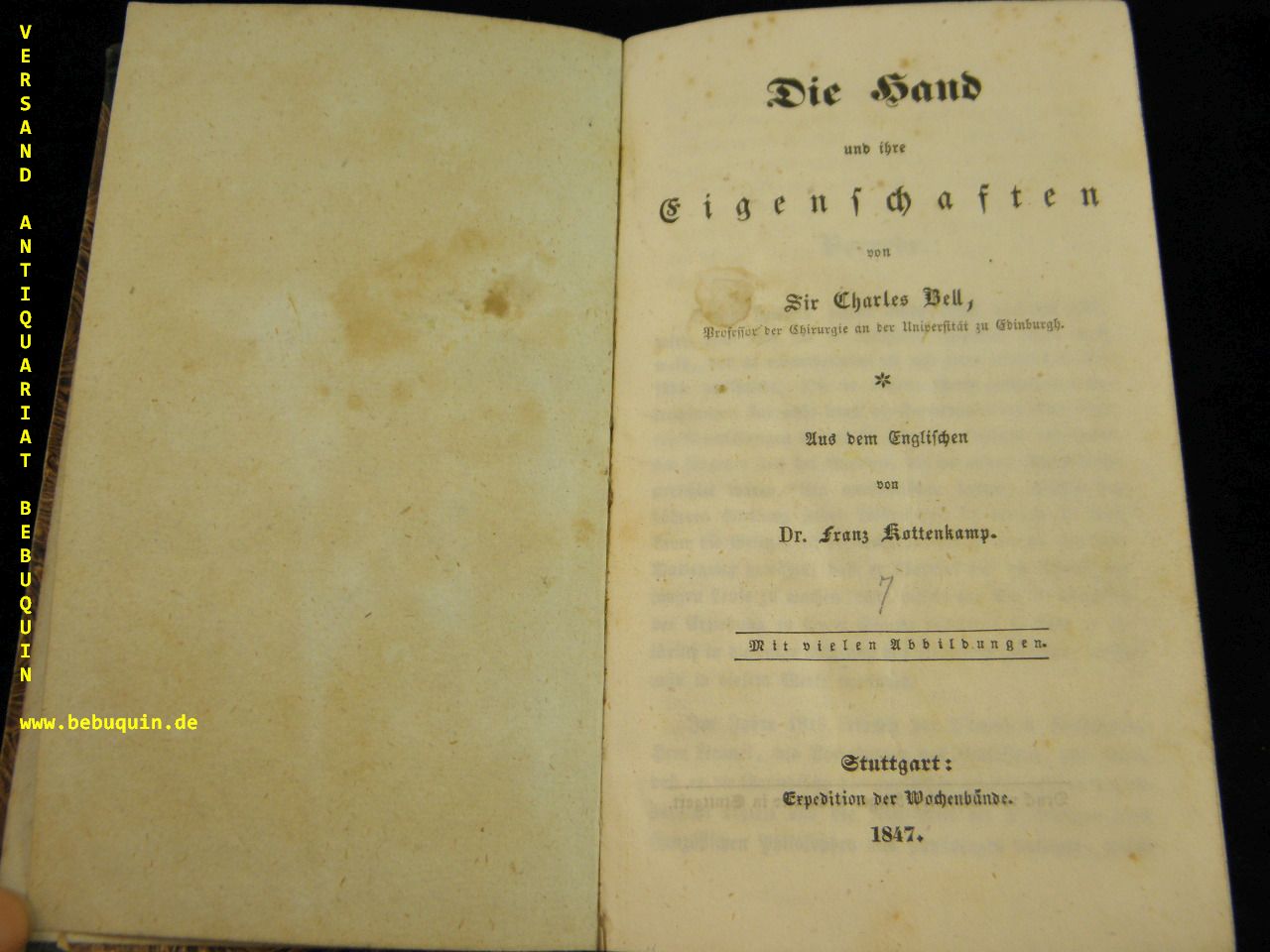 56188AA.jpg