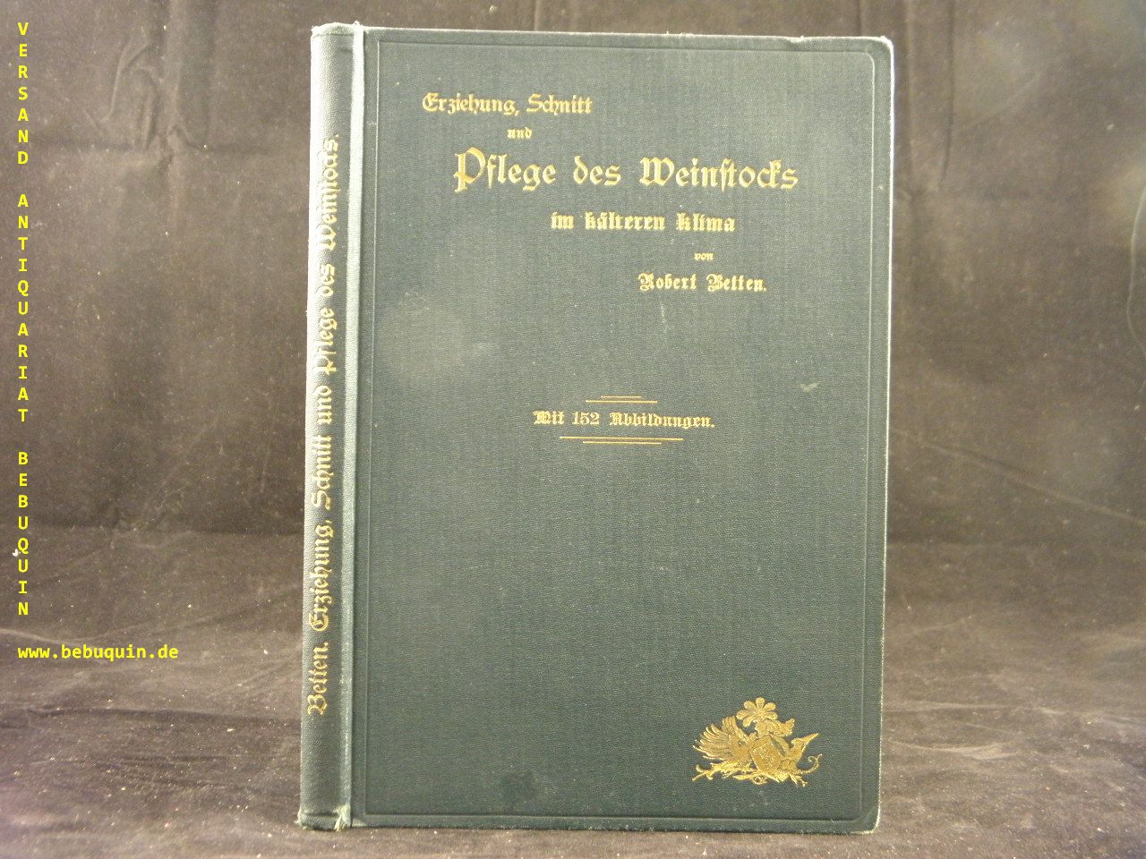56312AA.jpg