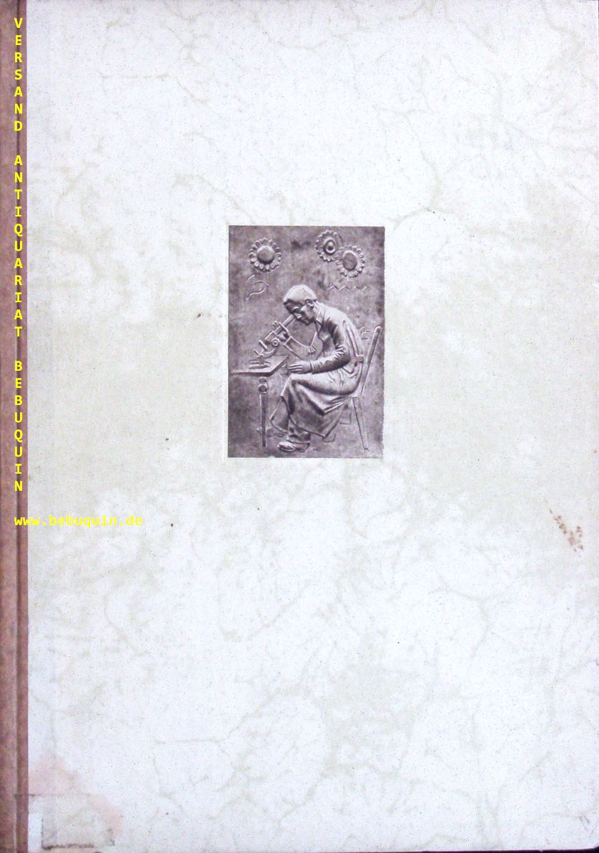 57765AB.jpg