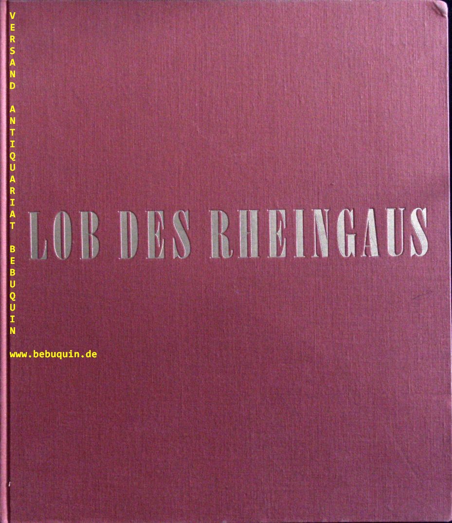 58493AB.jpg