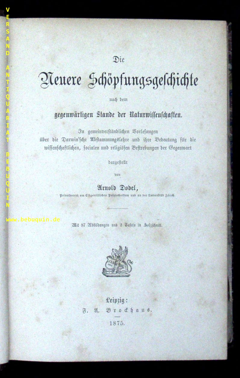 58784AB.jpg