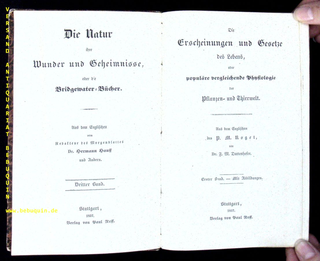58787AB.jpg