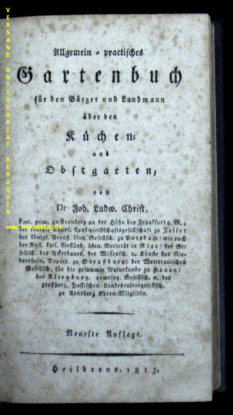 58899AB.jpg