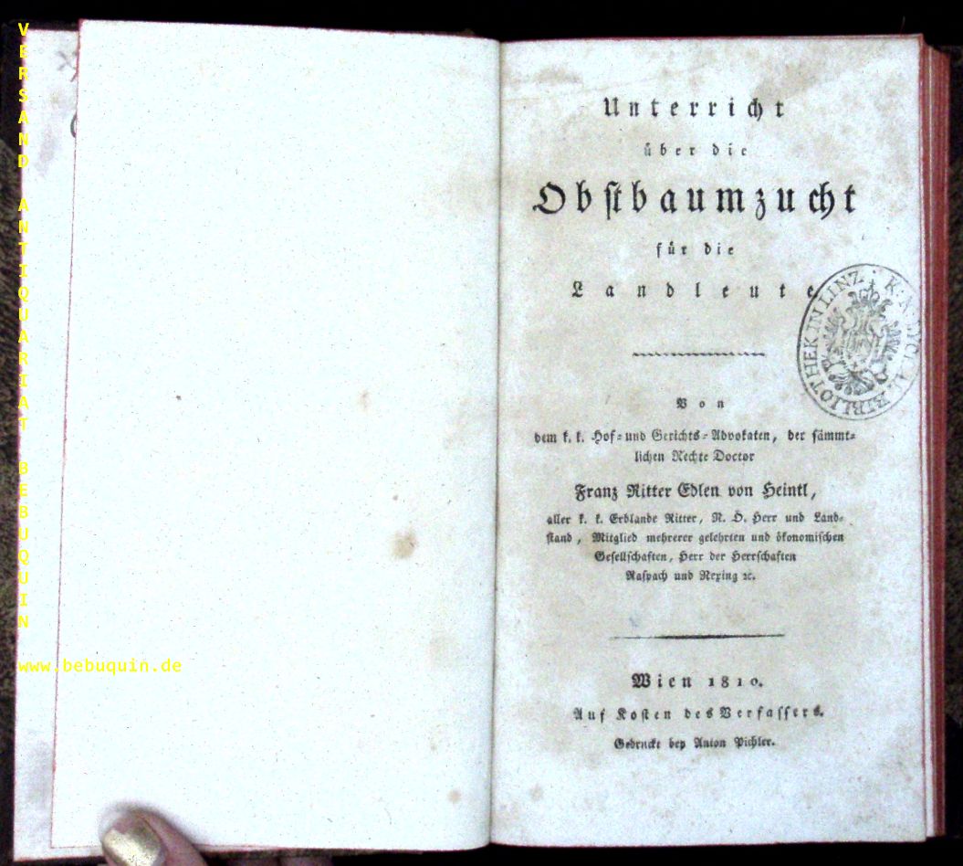 58904AB.jpg
