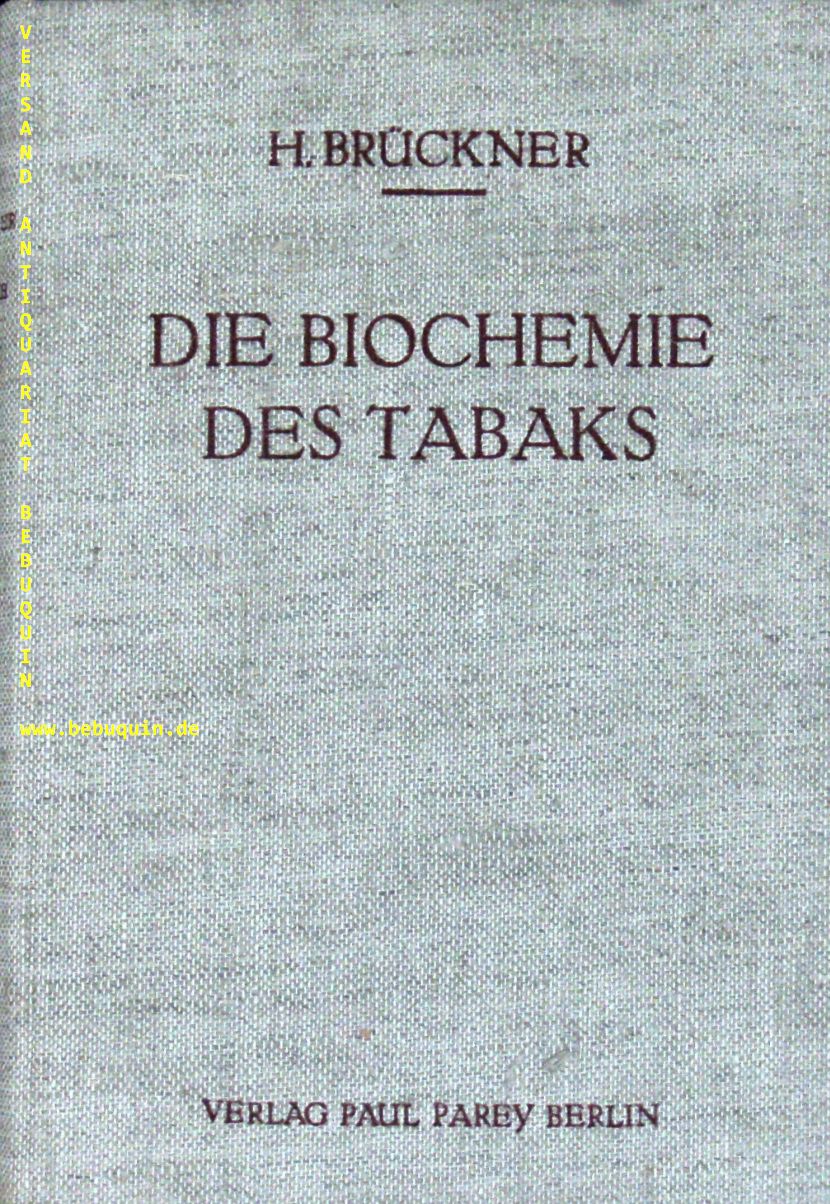 58918AB.jpg