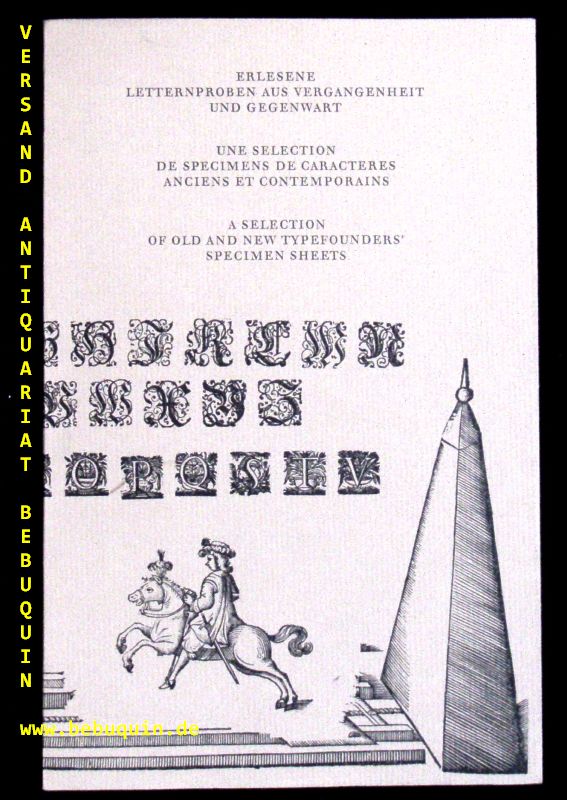65202AB.jpg