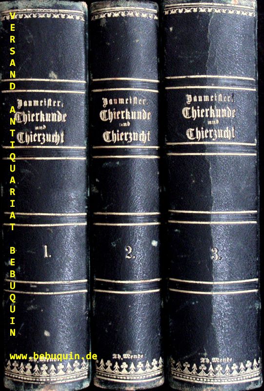 65362AB.jpg