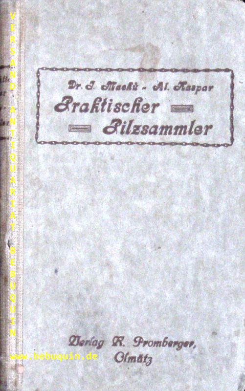65388AB.jpg