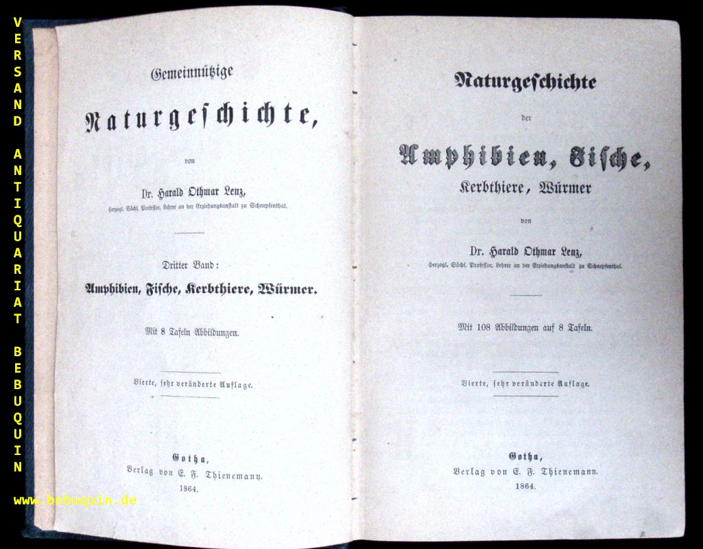 65405AB.jpg