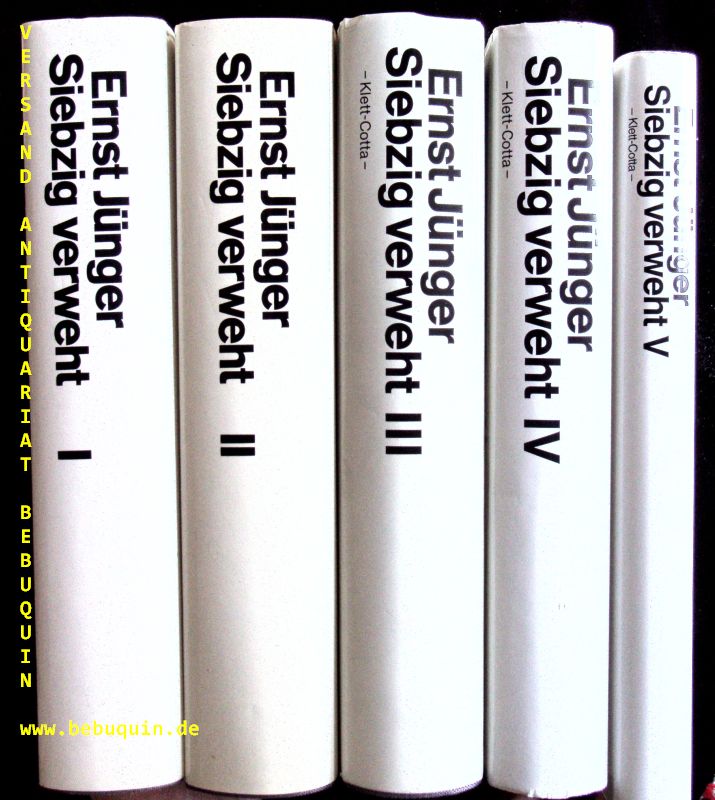 65715AB_1.jpg