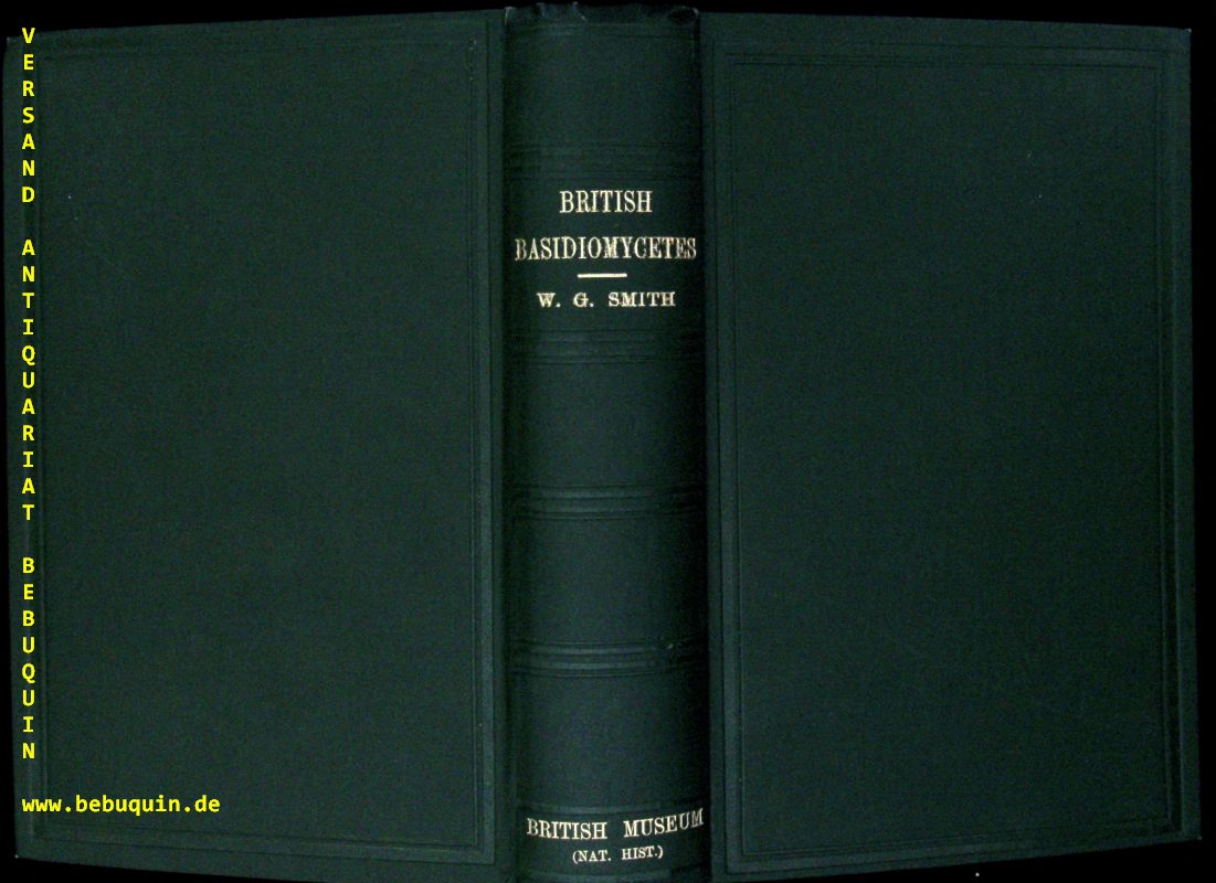 65871AB.jpg