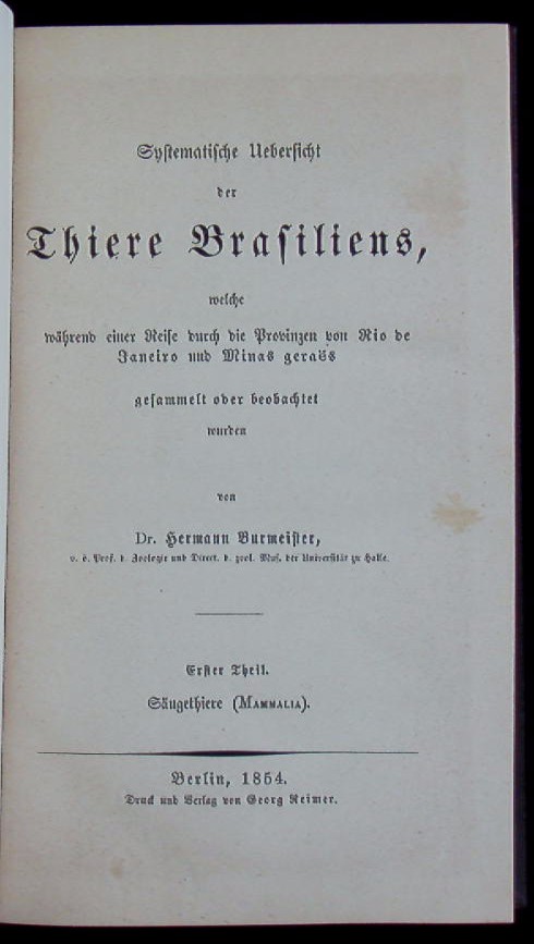 66017AB.jpg