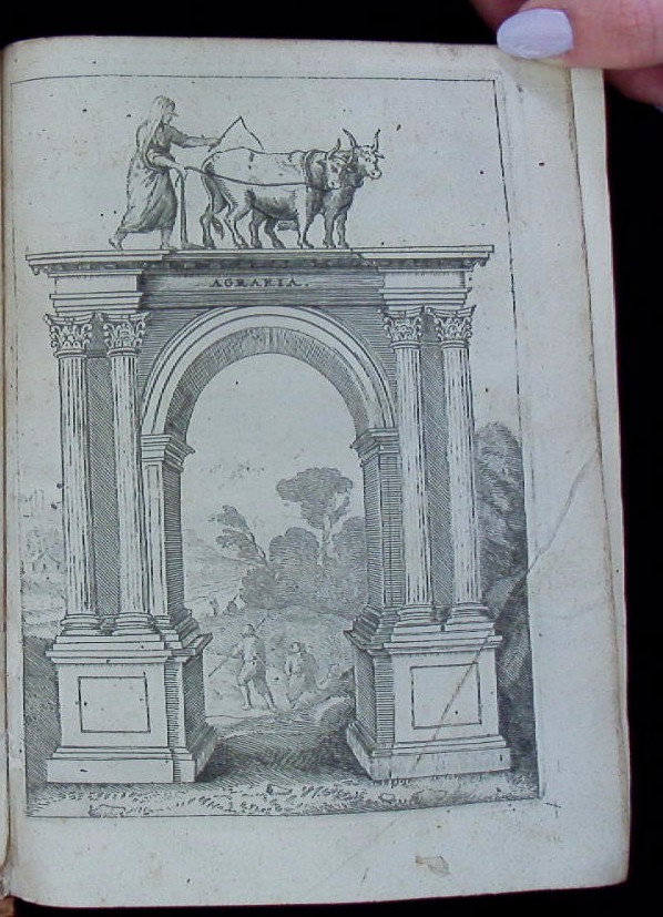66024AB.jpg