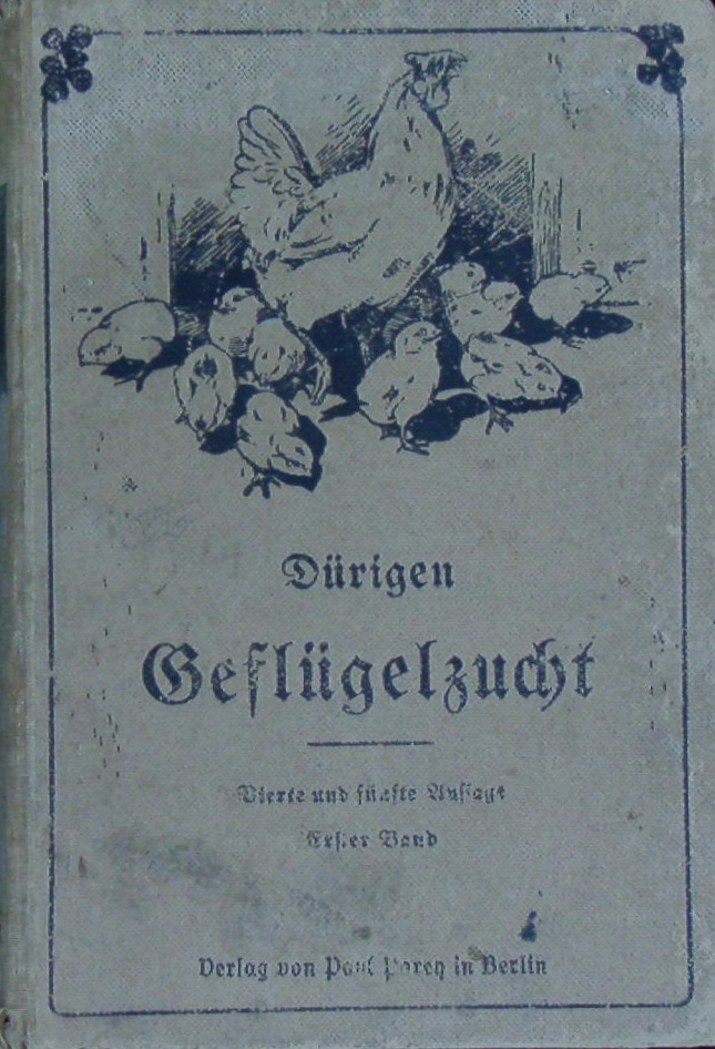 66164AB.jpg