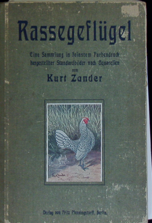 66167AB.jpg