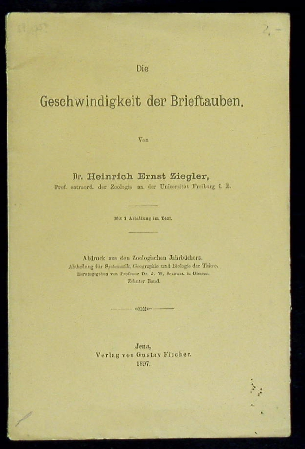 66173AB.jpg