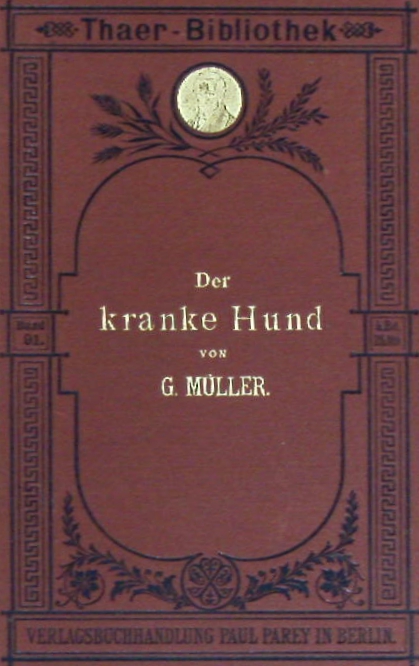 66185AB.jpg