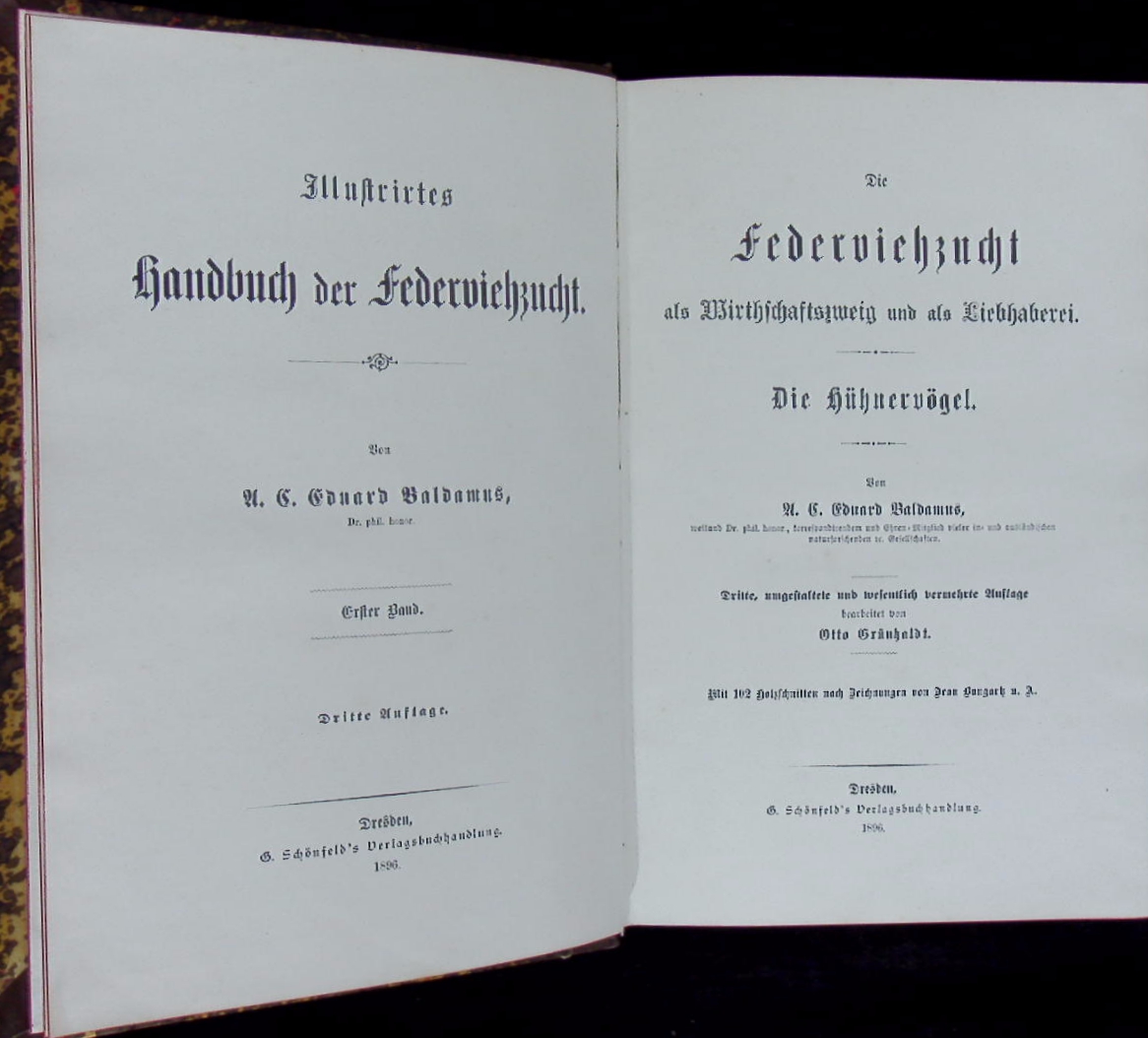 66189AB.jpg
