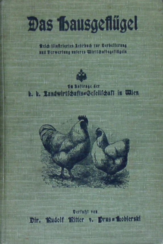 66191AB.jpg