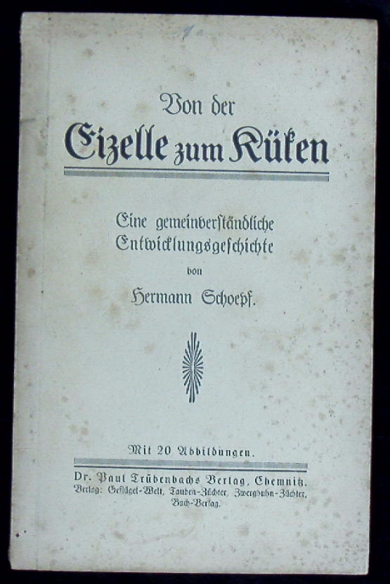 66199AB.jpg