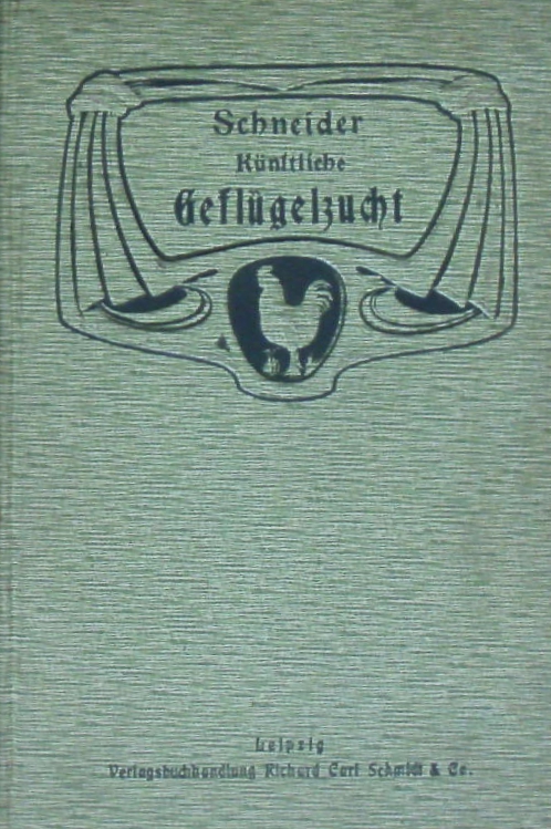 66211AB.jpg