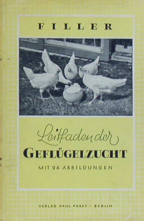 66217AB.jpg