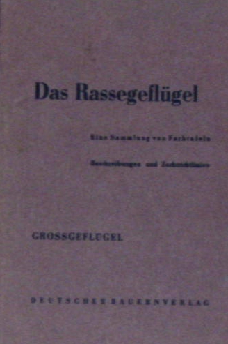 66245AB.jpg