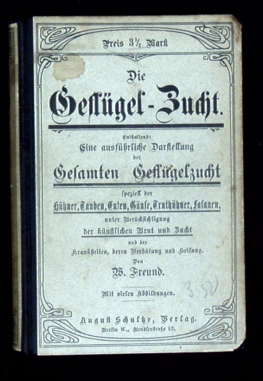 66249AB.jpg