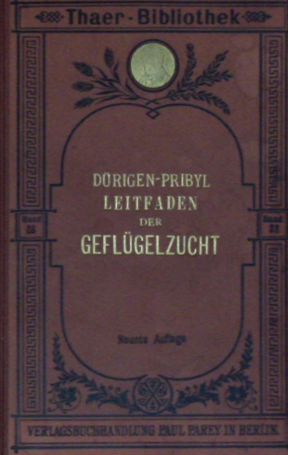 66254AB.jpg