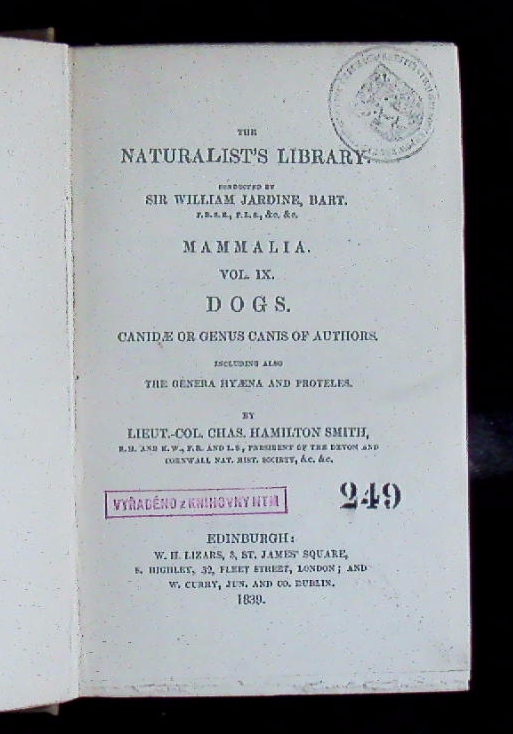 66263AB.jpg