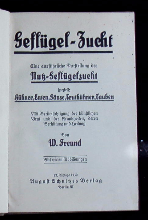 66265AB.jpg