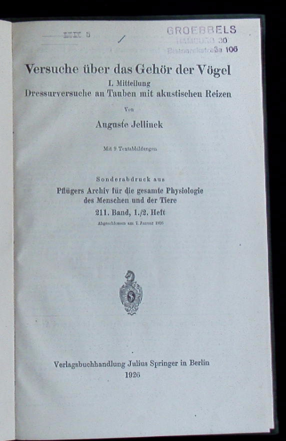 66281AB.jpg