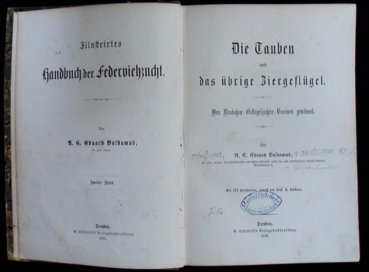 66283AB.jpg