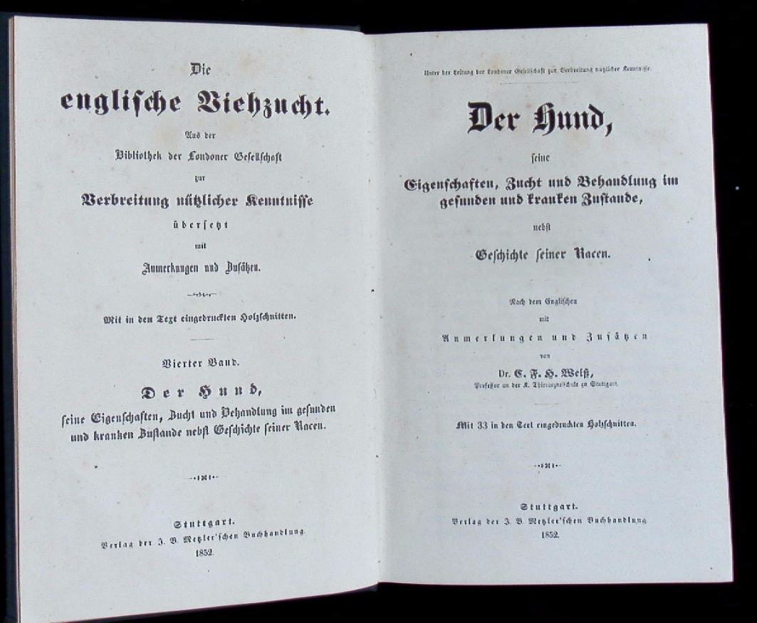 66286AB.jpg