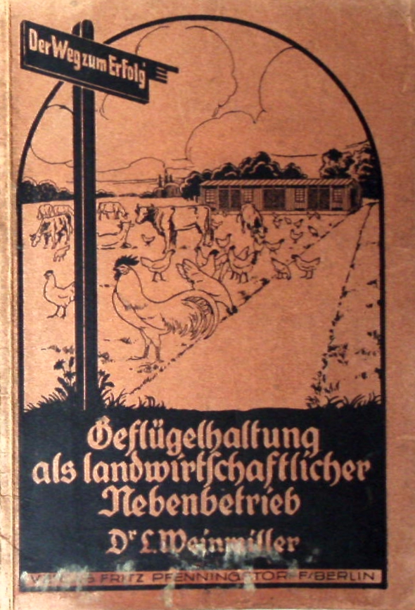 66324AB.jpg