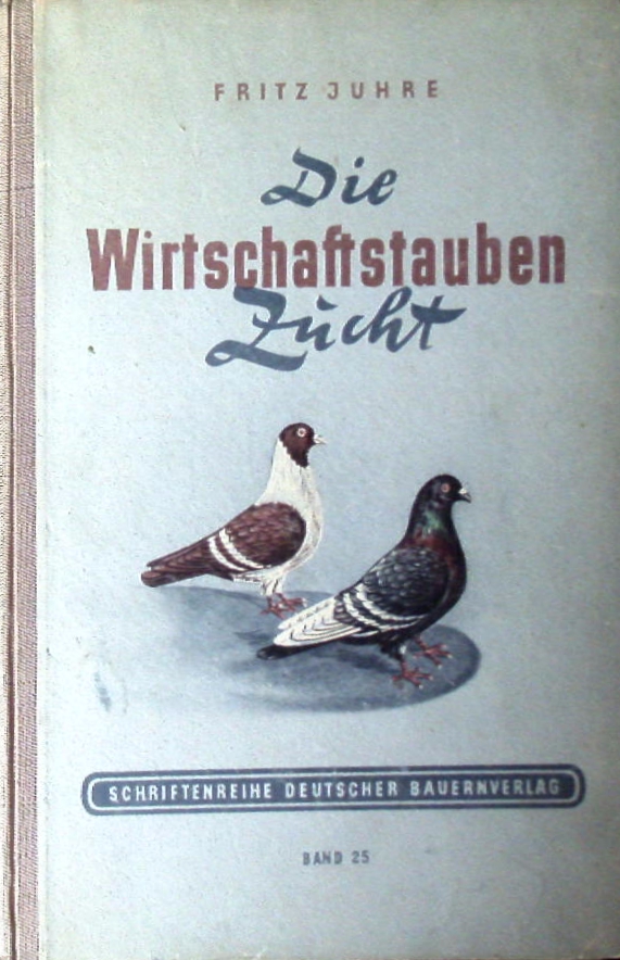 66332AB.jpg
